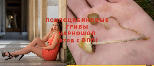 ГАЛЛЮЦИНОГЕННЫЕ ГРИБЫ Струнино