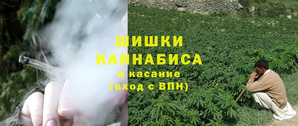 стаф Ступино