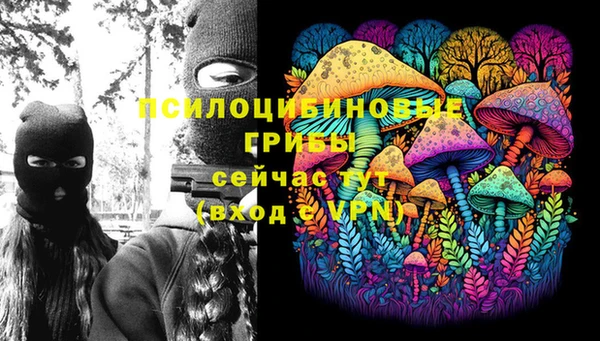 стаф Ступино