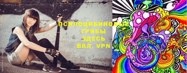 стаф Ступино