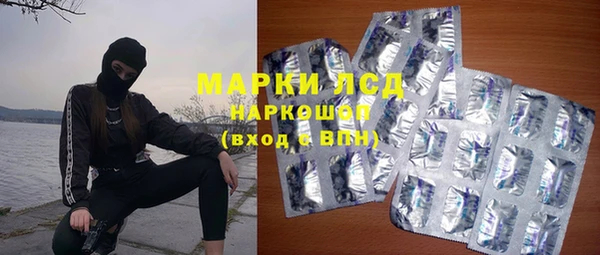 ГАЛЛЮЦИНОГЕННЫЕ ГРИБЫ Струнино