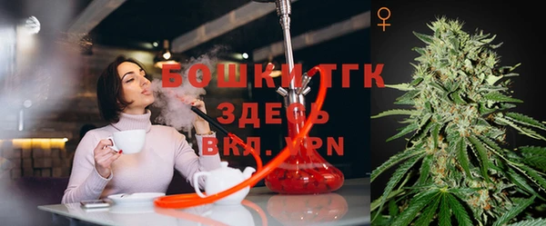 стаф Ступино
