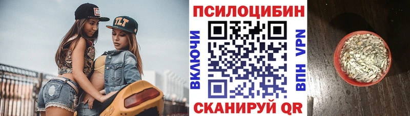 Псилоцибиновые грибы прущие грибы где купить Устюжна